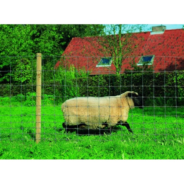 Grillage Noué - Grillage A Moutons - Mailles Progressives - 0,80 mètre